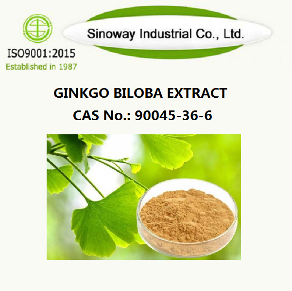 แปะก๊วย Biloba Extract 90045-36-6