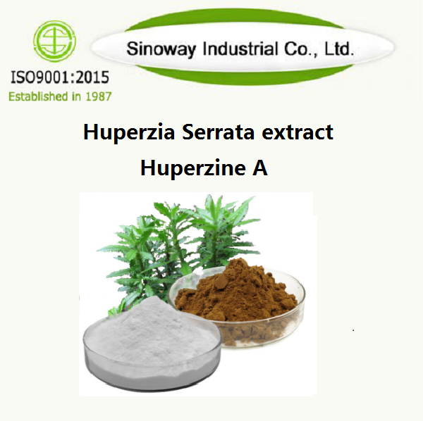 สารสกัด Huperzia Serrata / Huperzine A 102518-79-6