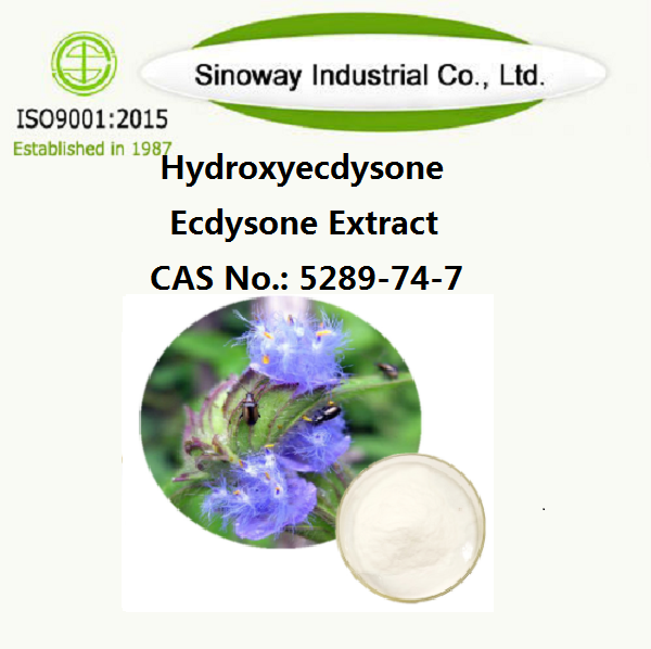 ไฮดรอกซีไดโซน สารสกัดเอคไดโซน β-ecdysone 5289-74-7
